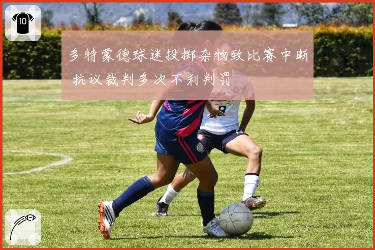 多特蒙德球迷投掷杂物致比赛中断 抗议裁判多次不利判罚