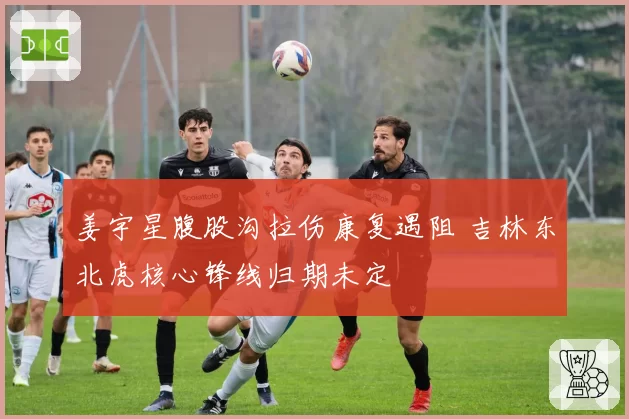 姜宇星腹股沟拉伤康复遇阻 吉林东北虎核心锋线归期未定