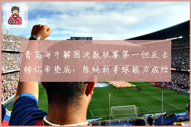 青岛海牛解围次数联赛第一但反击转化率垫底,陈纯新拿球能力成短板