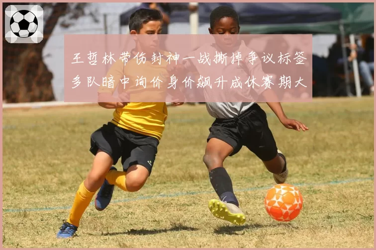 王哲林带伤封神一战撕掉争议标签多队暗中询价身价飙升成休赛期大鱼
